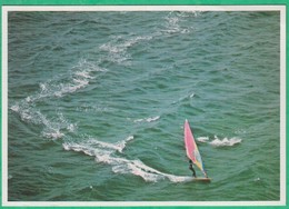 Sports - Planche à Voile - Editeur: Jack - Water-skiing