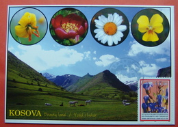 2015 KOSOVO FLORA CARD MAXIMUM, POSTMARK ZHUR (ZUR), RARE PRIVATE ISSUE - Kosovo