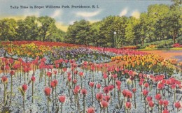 Rhode Island Providence Tulip Time In Roger Williams Park 1940 - Providence