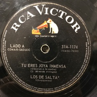 Sencillo Argentino De Los De Salta Año 1967 - World Music