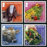 CAYMAN 2017 - 50 Ans D'agriculture, Fruits, Légumes, Vaches Et Chevres - 4 Val Neufs // MNH - Kaaiman Eilanden