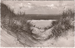 Nordseebad Langeoog - Dünen Und Strand - 1964 (Haus Meedland) - Wittmund