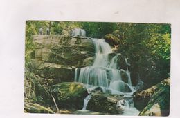 CPA LAUREL FALLS - Smokey Mountains