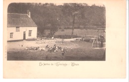 Thuin-(Hainaut)-La Ferme De L'Hermitage-Ermitage-Basse-Cour-Carte Nuage (précurseur)-D.V.D. 5735-Pas Courante - Thuin