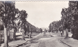 95. SAINT BRICE SOUS FORET .AVENUE ET PLACE DES TILLEULS. ANNÉES 50. ANIMATION - Saint-Brice-sous-Forêt