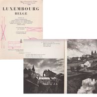 Luxembourg Belg  De Premorel, Etc  1951 - Belgium