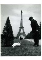 Paris : Lapin Au Champ De Mars Par Doisneau (1944) - Doisneau