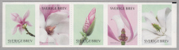 Sweden 2015 MNH Strip Of 5 Pink And White Magnolias - Ungebraucht