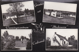 Postcard Groeten Uit Vormingscentrum 'Hedenesse' Cadzand - Cadzand