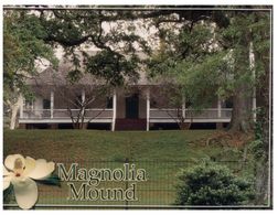 (99)  USA - Magnolia Plantation - Other & Unclassified