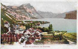 WEESEN → Dorfansicht Gegen Leistkamm Und Alvierkette, Ca.1900 - Weesen