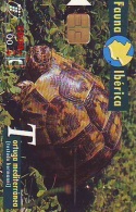 Télécarte  PUCE * SPAIN * ESPANA  (2337b) TORTUE *  TURTLE **  Phonecard - SCHILDKRÖTE * TELEFONKARTE - Schildkröten