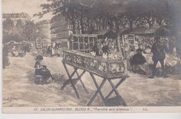 Salon De Paris 1910 . " Marché Aux Oiseaux   " Tableau De R. BLOOS - Marchés