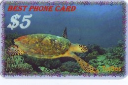 Télécarte * USA  (2368) TORTUE * TURTLE *  Phonecard * SCHILDKRÖTE * TELEFONKARTE - Turtles