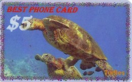 Télécarte * USA  (2370) TORTUE * TURTLE *  Phonecard * SCHILDKRÖTE * TELEFONKARTE - Turtles