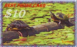 Télécarte * USA  (2372) TORTUE * TURTLE *  Phonecard * SCHILDKRÖTE * TELEFONKARTE - Schildpadden