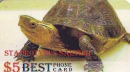 Télécarte * USA  (2375) TORTUE * TURTLE *  Phonecard * SCHILDKRÖTE * TELEFONKARTE - Tartarughe