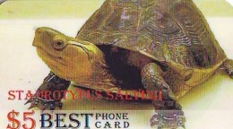 Télécarte * USA  (2375) TORTUE * TURTLE *  Phonecard * SCHILDKRÖTE * TELEFONKARTE - Turtles
