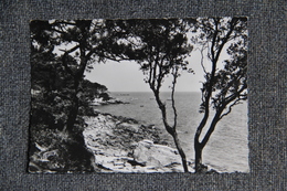 NORMOUTIER - La Côte Sauvage - Noirmoutier