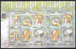 6 Timbres ** Champignons Du Lesotho Champignon Mushroom Setas Pilze - Mushrooms