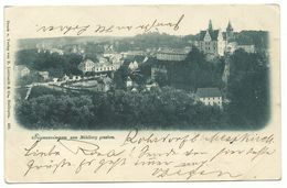 Sigmaringen Vom Mühlberg Gesehen 1898 - Sigmaringen