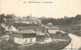 BELIN VUE PANORAMIQUE - Autres & Non Classés