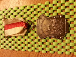 Medaille  / Medal - A.W.K Rijssen 12-8-1967 - The Netherlands - Andere & Zonder Classificatie
