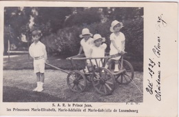 CARTE PHOTO - FAMILLE ROYAL GRAND DUCALE - LES ENFANTS GRAND DUCAUX -  CHATEAU  DE COLMAR BERG ÉTÉ 1929 - Koninklijke Familie