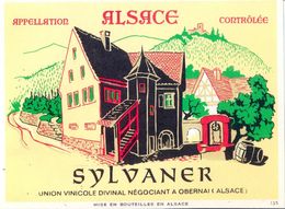 1 Etiquette Ancienne De VIN - SYLVANER - UNION VINICOLE DIVINAL A OBERNAI - Riesling