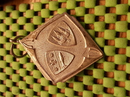 Medaille  / Medal - Deventer + 1965   / Walking  / Tennengauer   - The Netherlands - Altri & Non Classificati