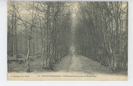 Forêt De CHATEAUNEUF EN THIMERAIS - L'Allée Des Soupirs Prise Du Rond Point - Châteauneuf