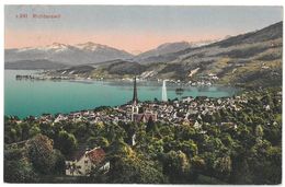 Svizzera Richterswill Viaggiata 1919 - Richterswil