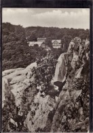 Delcampe - Thale Im Harz - S/w Blick Auf Berghotel Roßtrappe - Thale