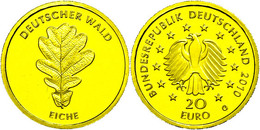 297 20 Euro, Gold, 2010, Deutscher Wald-Eiche, Mzz G, In Kapsel, PP., Katalog: J. 552 PP - Sonstige & Ohne Zuordnung