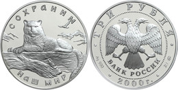 788 3 Rubel, Silber, 2000, Schützt Unsere Welt-Schneeleopard, Parch. 1088, In Kapsel, PP. Auflage 5000 Exemplare!  PP - Russia