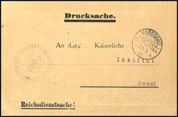 3232 1916, Portofreie Reichsdienstsache In Form Einer Drucksachen-Streifbandadresse, Mit Stempel "MOROGORO DOA 22/3 16"  - Deutsch-Ostafrika