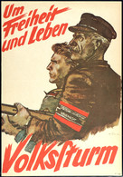 4904 1945, "Um Freiheit Und Leben, Volkssturm", Deutsches Werbeplakat Im Format Din A4 Mit Dem Farbigen Bild Eines Alten - Sonstige & Ohne Zuordnung