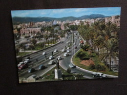 Delcampe - Palma De Mallorca. Paseo Sagrera. Zerkowitz 1.262 - Palma De Mallorca