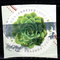 US+ 2017 Mi 5391 Echeveria Elegans - Unused Stamps