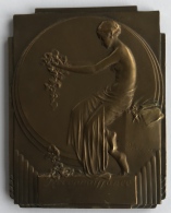 Médaille - Plaquette En Bronze Art Nouveau. A. Mauquoy. Reconnaissance. Union Professionnelle Des Opticiens. 60 X 80mm - Firma's