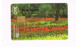 GRECIA (GREECE) -  1995 -     FLOWERS  - USED - RIF. 5 - Fleurs