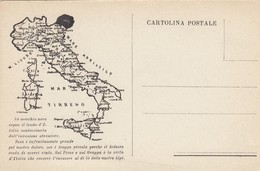 11653-PATRIOTTICA-CARTINA DELL'ITALIA CON ZONA INVASA DALLO STRANIERO-FP - Patrióticos