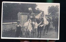 DEFILE   CHEVAUX MOYEN AGE PHOTO A SITUER   DDD - Demonstrations