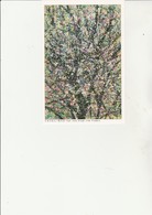 CARTE POSTALE  DE L'OEUVRE  DU PEINTRE CHINOIS LIU- YONGLIANG - Peintures & Tableaux