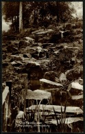 RB 1191 - Early Real Photo Postcard - Rock Garden At The Quarry - Shrewsbury Shropshire - Shropshire