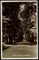 RB 1191 - 1937 Real Photo Postcard - Quarry Avenue - Shrewsbury Shropshire - Shropshire