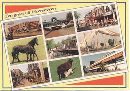 OLANDA - NEDERLAND - Paesi Bassi - 1994 - 70c + Flamme Postcode - Een Groet Uit Heerenveen - Multivues - Viaggiata Da Le - Heerenveen