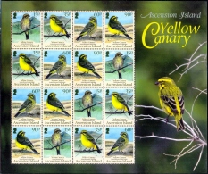 BIRDS-YELLOW CANARY-SHEET-ASCENSION ISLANDS-1993-SCARCE-MNH-M-220 - Spechten En Klimvogels