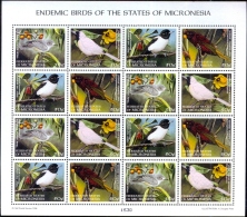 BIRDS-ENDEMIC BIRDS OF THE STATES OF MICRONESIA-SHEET-SCARCE-MNH--M-216 - Specht- & Bartvögel