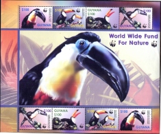 BIRDS-TOUCANS-WWF-GUYANA-SHEET-SCARCE-MNH--M-219 - Pics & Grimpeurs